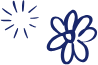 Shape 23